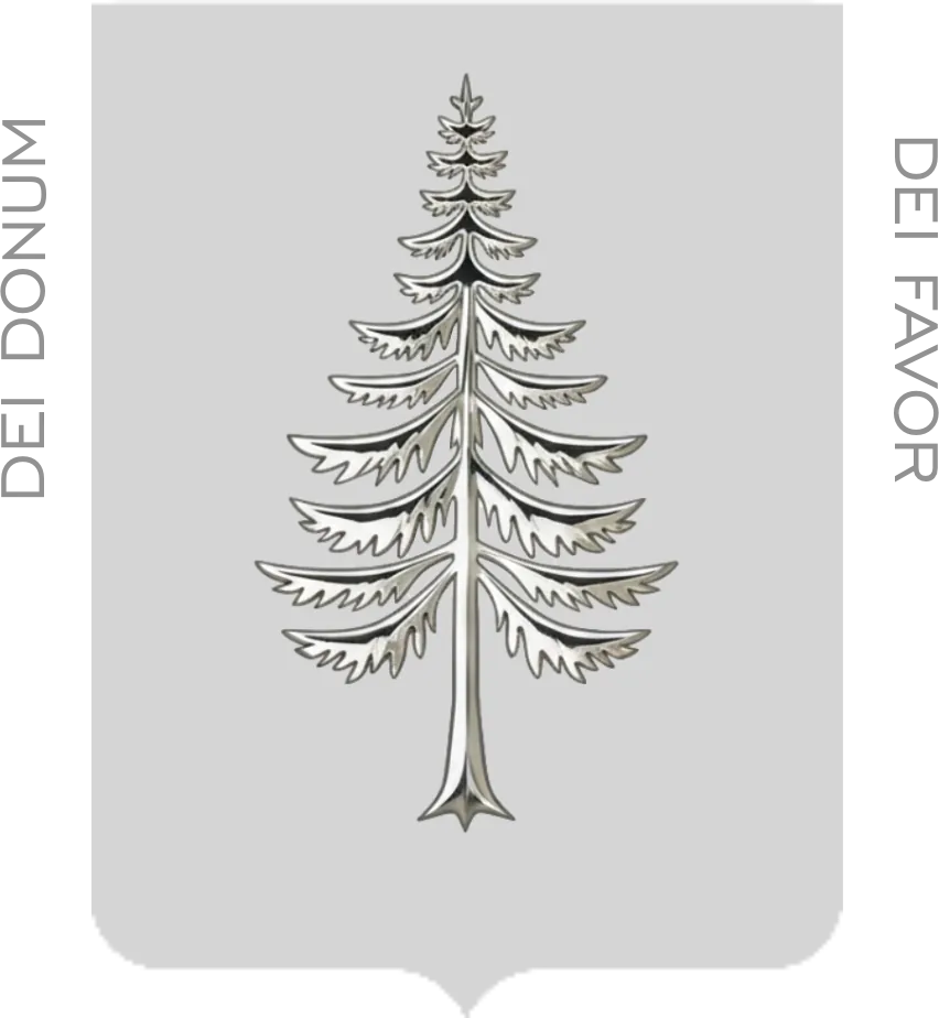 Silver Fir